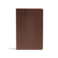 CSB Ultrathin Reference Bible, Value Edition, Brown Leathertouch