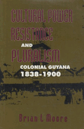 Cultural Power, Resistance, and Pluralism: Colonial Guyana, 1838-1900 Volume 22
