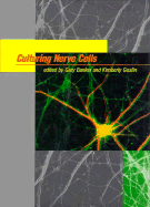 Culturing Nerve Cells