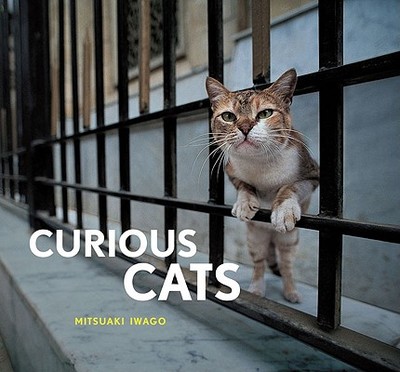 Curious Cats - Iwago, Mitsuaki