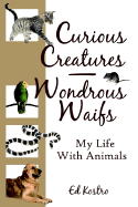 Curious Creatures - Wondrous Waifs