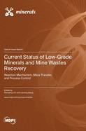 Current Status of Low-Grade Minerals and Mine Wastes Recovery: Reaction Mechanism, Mass Transfer, and Process Control