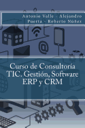 Curso de Consultor?a TIC. Gesti?n, Software ERP y CRM