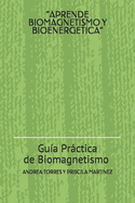 Curso Integral de Biomagnetismo Y Bioenergetica: Certifcate en Biomagnetismo en Mxico