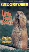 Cute and Cuddly Critters: Little Furry Friends - 