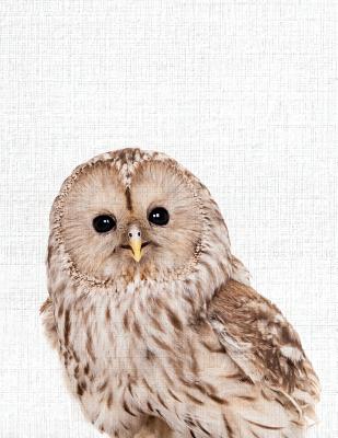 Cute Animal Composition Book: 8.5 x 11'', 200 Wide Ruled Pages, Notebook for School Softcover Canvas Design OWL: Large notebook journal for teacher, students, and college - Library, Bb Book