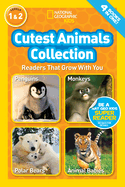 Cutest Animals Collection