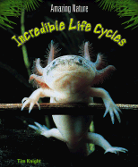 Cycles of Life - Knight, Tim
