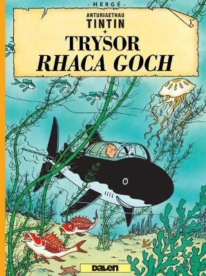Cyfres Anturiaethau Tintin: Trysor Rhaca Goch - Herg, and Jones, Dafydd (Translated by)