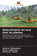 D?termination du sexe chez les plantes