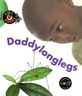 Daddylonglegs - Anderson, Catherine