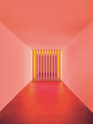 Dan Flavin: Corners, Barriers and Corridors - Flavin, Dan, and Auping, Michael (Contributions by), and Whitney, Alexandra (Contributions by)