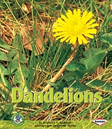 Dandelions - Kudlinski, Kathleen V