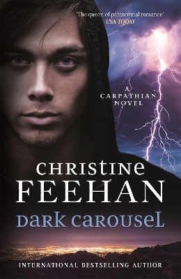 Dark Carousel - Feehan, Christine