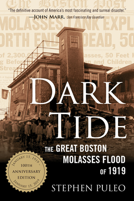 Dark Tide: The Great Boston Molasses Flood of 1919 - Puleo, Stephen