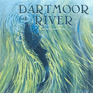 Dartmoor River