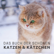 Das Buch der schnen Katzen und Ktzchen: Bildband fr Senioren und Demenzkranke