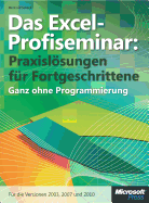 Das Excel-Profiseminar - Scheck, Reinhold