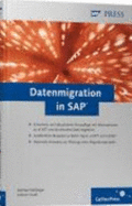 Datenmigration in Sap