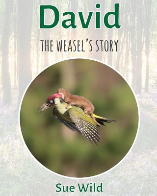 David: The weasel's story - Wild, Sue