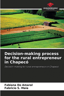 Decision-making process for the rural entrepreneur in Chapec