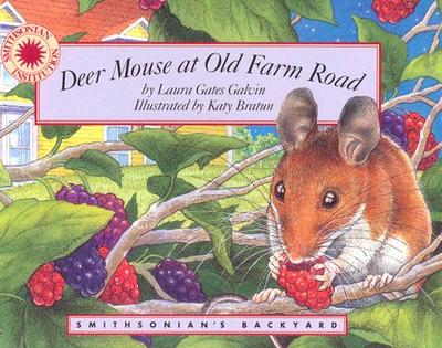 Deer Mouse at Old Farm Road - Galvin, Laura Gates