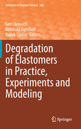 Degradation of Elastomers in Practice, Experiments and Modeling