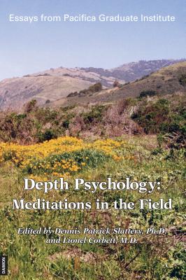 Depth Psychology: Meditations in the Field - Slattery, Dennis Patrick