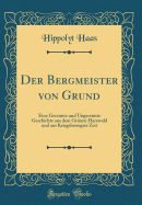Der Bergmeister von Grund: Eine Gereimte und Ungereimte Geschichte aus dem Grnen Harzwald und aus Kriegsbewegter Zeit (Classic Reprint)