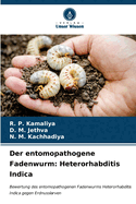 Der entomopathogene Fadenwurm: Heterorhabditis Indica