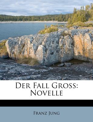 Der Fall Gross: Novelle - Jung, Franz