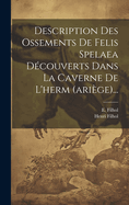 Description Des Ossements De Felis Spelaea Dcouverts Dans La Caverne De L'herm (arige)...