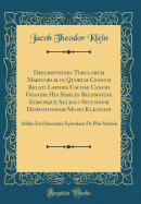 Descriptiones Tubulorum Marinorum in Quorum Censum Relati Lapides Caudae Cancri Gesneri His Similes Belemnitae Eorumque Alueoli Secundum Dispositionem Musei Kleiniani: Addita Est Dissertatio Epistolaris de Pilis Marinis (Classic Reprint)