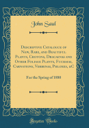 Descriptive Catalogue of New, Rare, and Beautiful Plants, Crotons, Dracaenas and Other Foliage Plants, Fuchsias, Carnations, Verbenas, Phloxes, &c: For the Spring of 1880 (Classic Reprint)