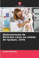 Determinao de Ehrlichia canis na cidade de Iquique, Chile