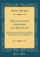 Deutschlands Amphibien Und Reptilien: Eine Beschreibung Und Schilderung Smmtlicher in Deutschland Und Den Angrenzenden Gebieten Vorkommenden Lurche Und Kriechthiere (Classic Reprint)