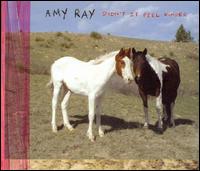 Didn't It Feel Kinder - Amy Ray