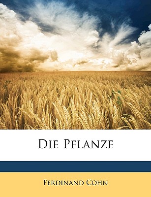 Die Pflanze - Cohn, Ferdinand