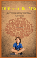 Different Like Me: A Twice Exceptional Journey