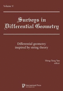 Differential Geometry Inspired by String Theory