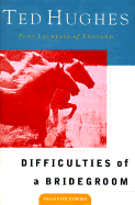 Difficulties of a Bridegroom: Collected Short Stories