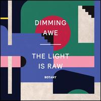 Dimming Awe, the Light Is Raw - Botany