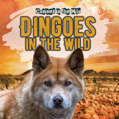 Dingoes In the Wild – Gareth Stevens, 2022