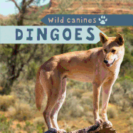 Dingoes