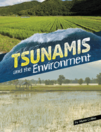 Disasters & the Environment Tsunamis