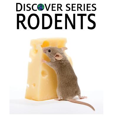 Discover Series Rodents: Discover Series Picture Book for Children - Publishing, Xist
