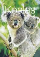 Discovering Australian Koalas Gift Book