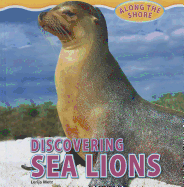 Discovering Sea Lions