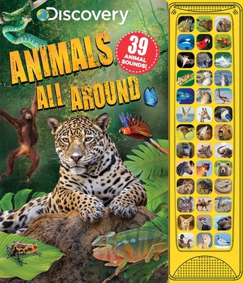 Discovery: Animals All Around - Acampora, Courtney