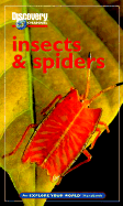 Discovery Channel: Insects & Spiders: An Explore Your World Handbook